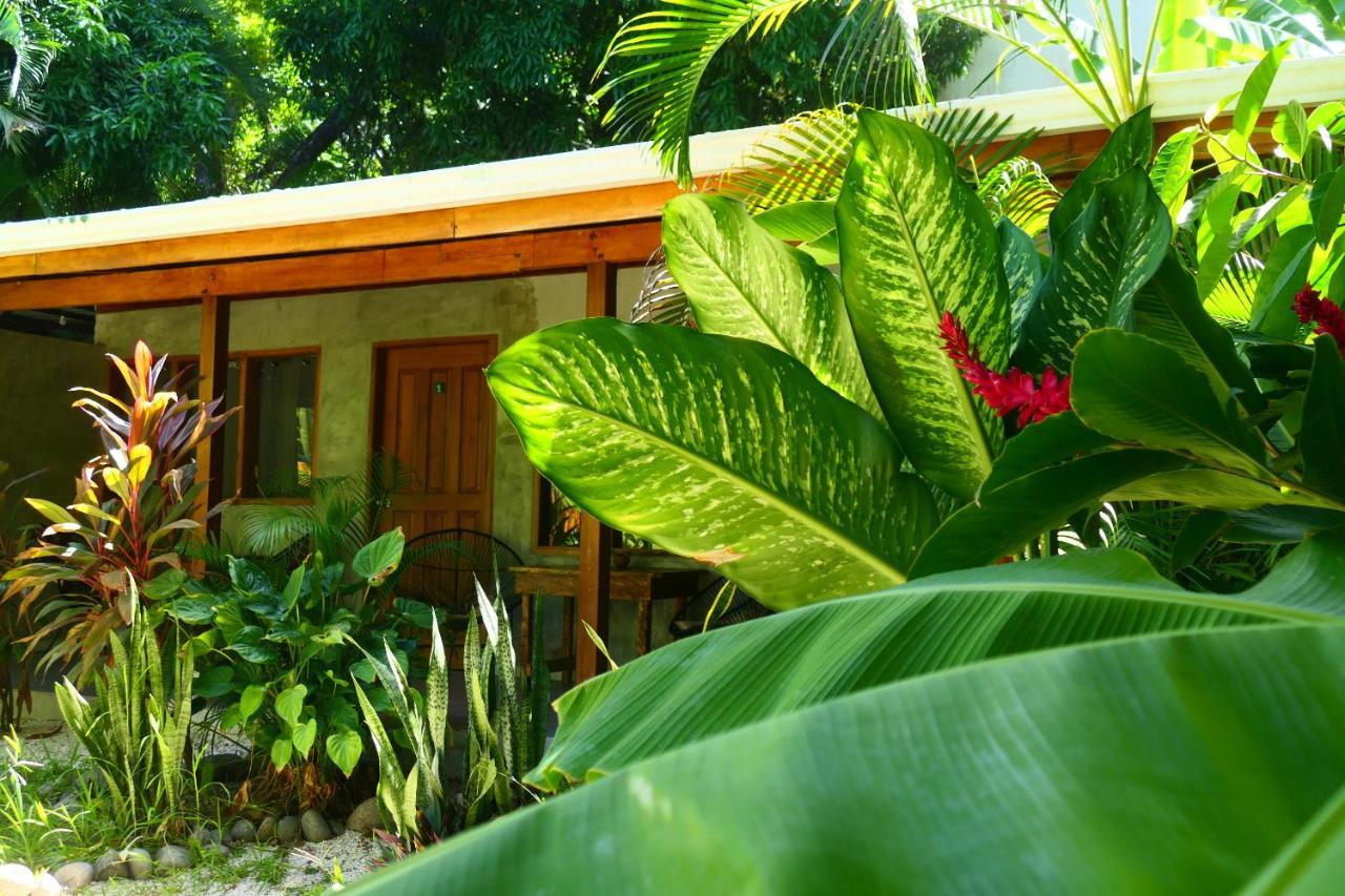 Cabinas Playa Surf Hostel Playa Santa Teresa  エクステリア 写真