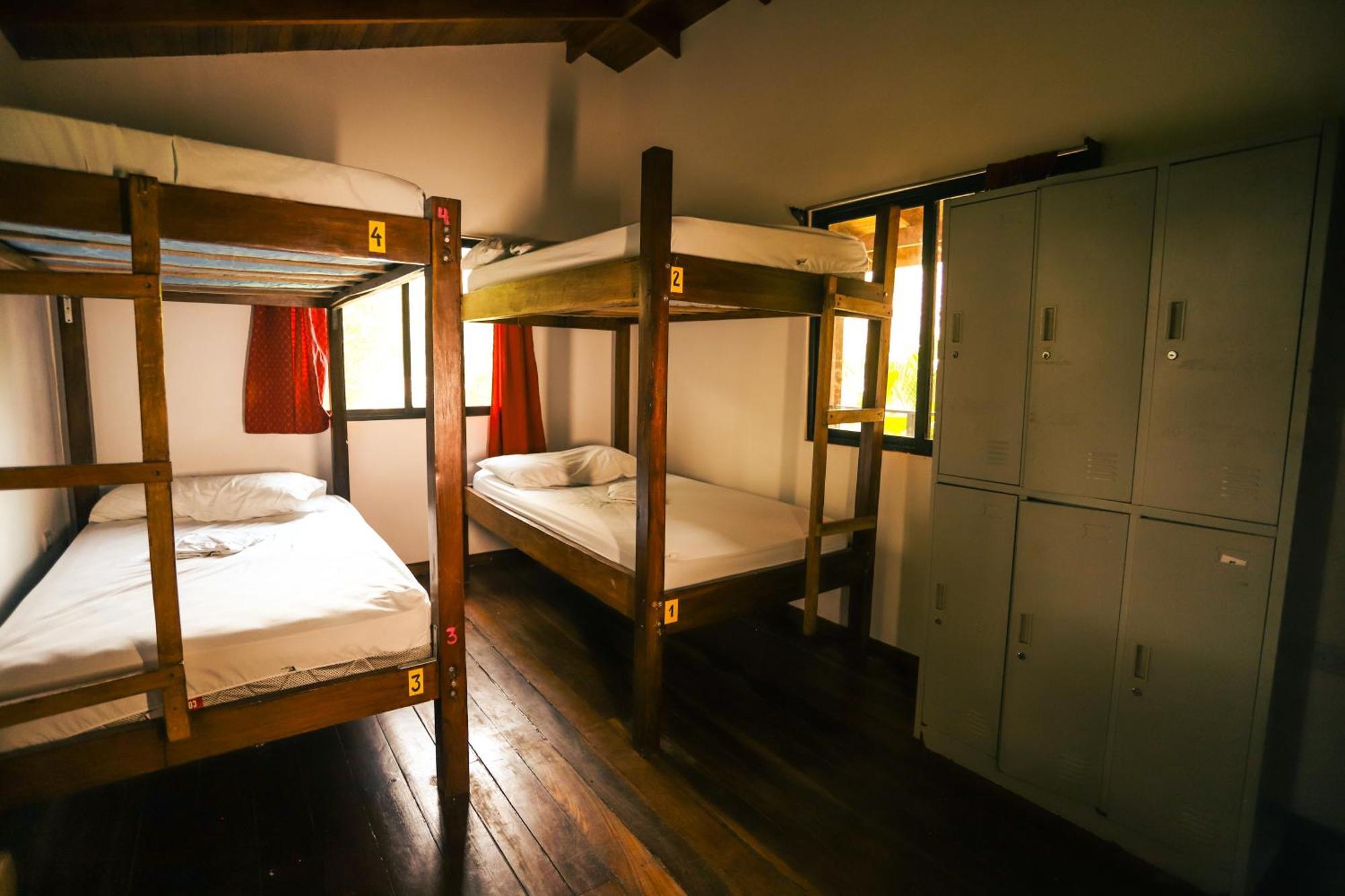 Cabinas Playa Surf Hostel Playa Santa Teresa  エクステリア 写真