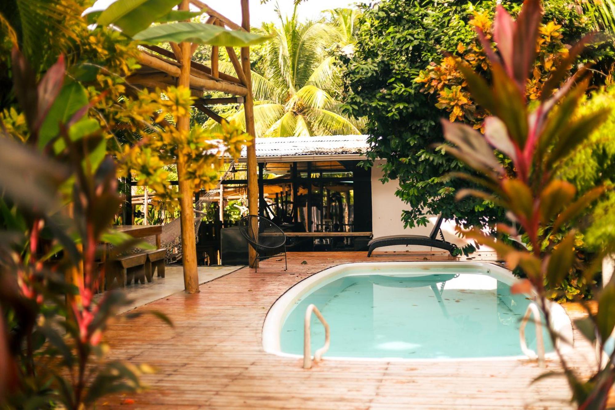 Cabinas Playa Surf Hostel Playa Santa Teresa  エクステリア 写真