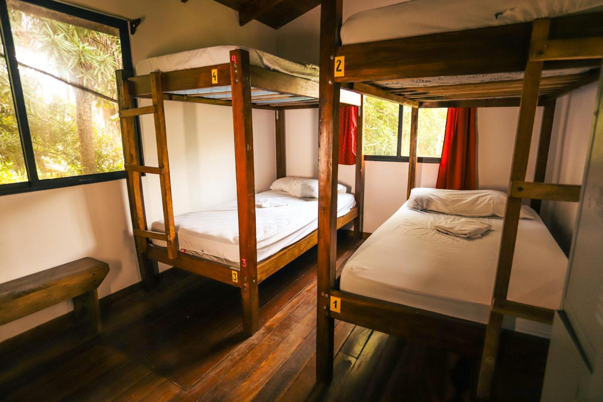 Cabinas Playa Surf Hostel Playa Santa Teresa  エクステリア 写真