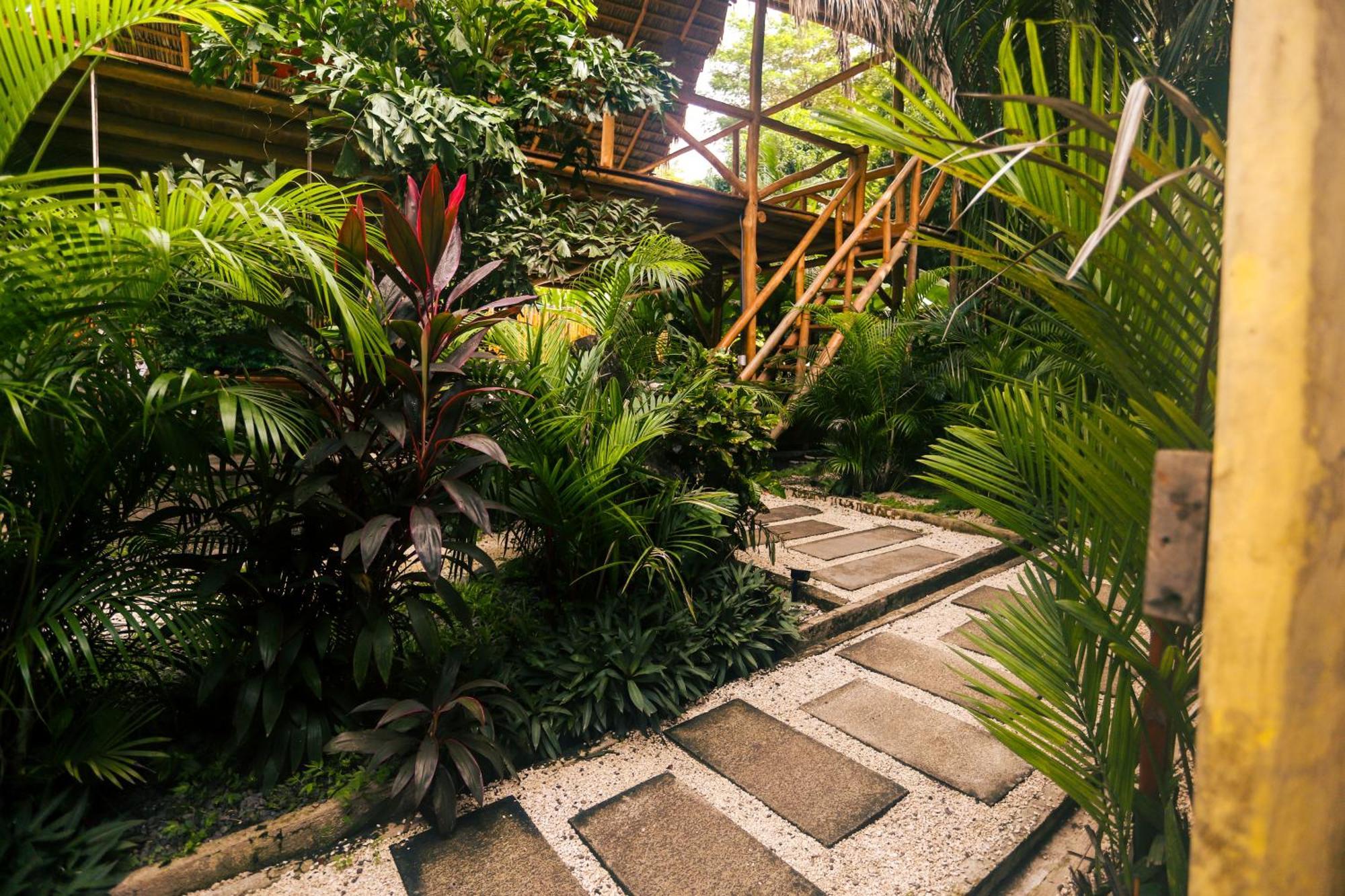 Cabinas Playa Surf Hostel Playa Santa Teresa  エクステリア 写真