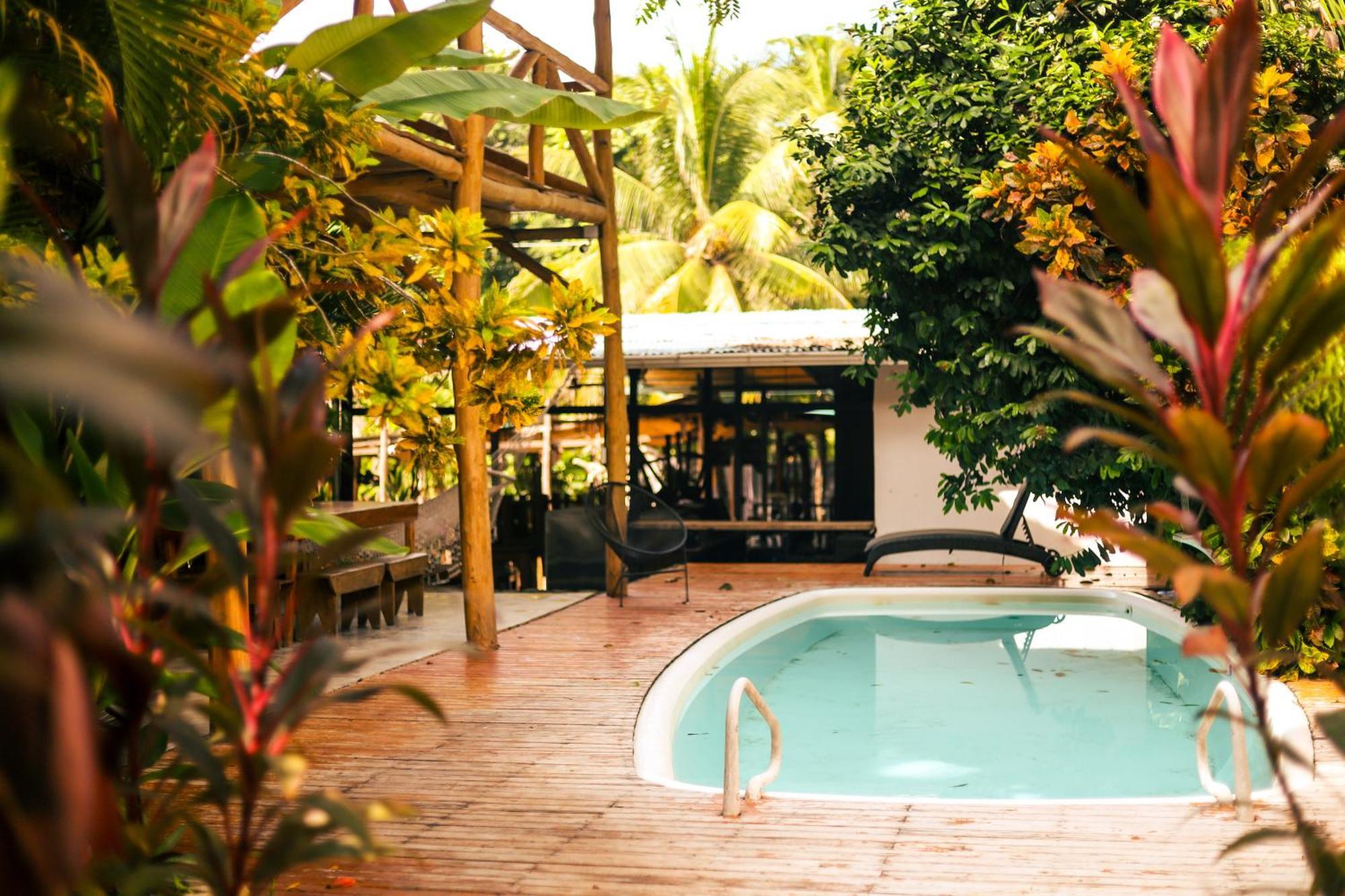 Cabinas Playa Surf Hostel Playa Santa Teresa  エクステリア 写真