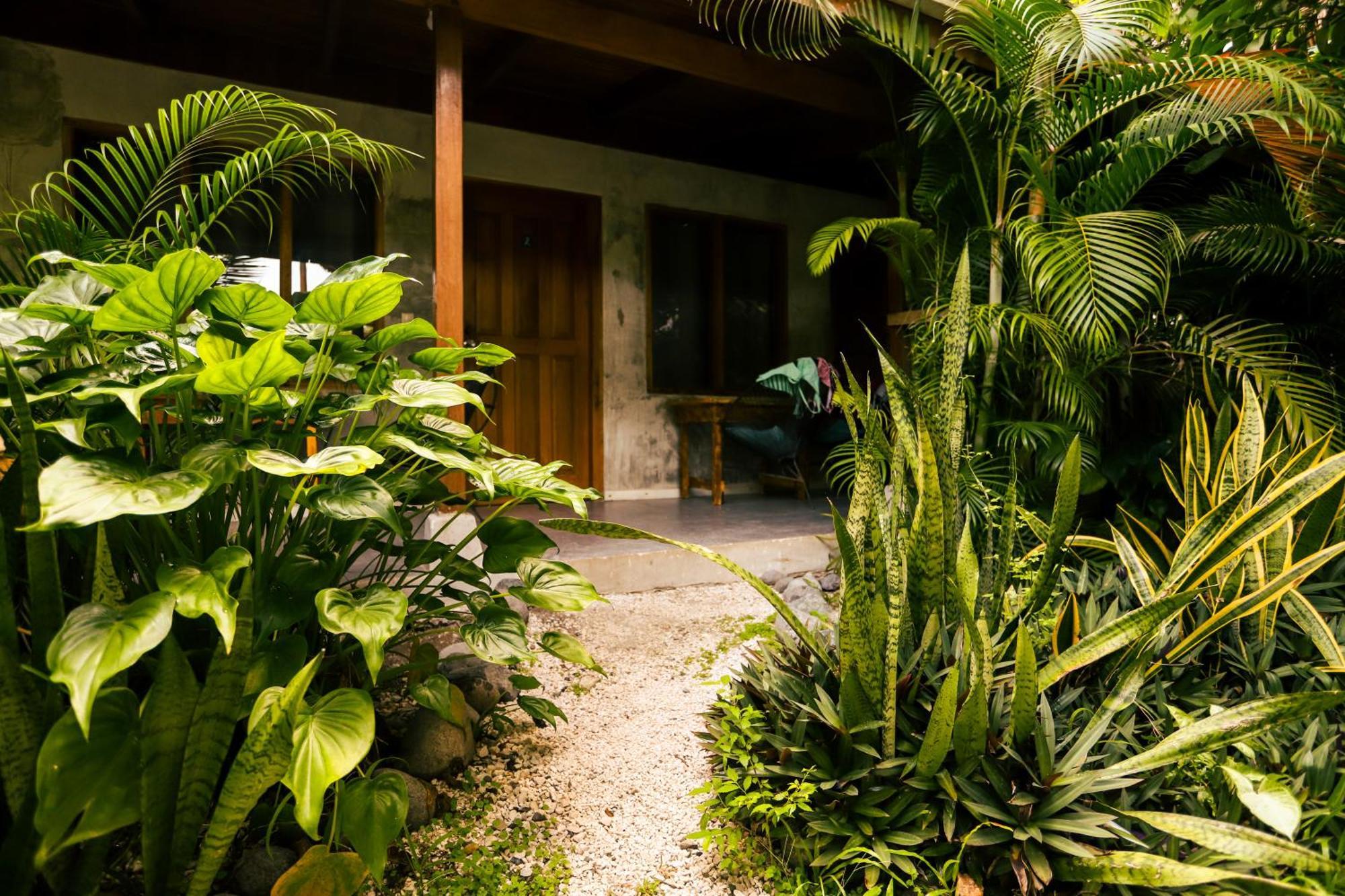 Cabinas Playa Surf Hostel Playa Santa Teresa  エクステリア 写真