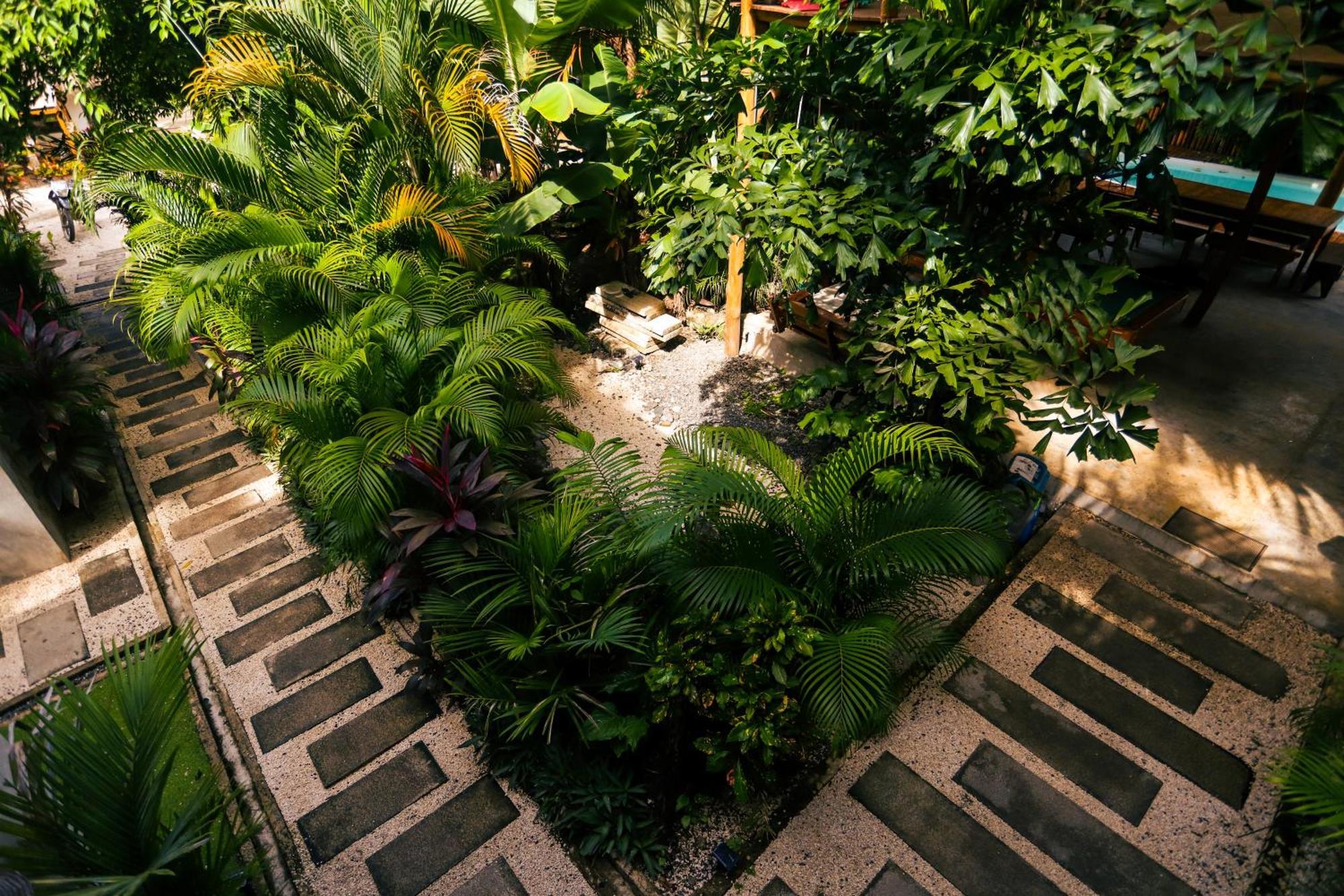 Cabinas Playa Surf Hostel Playa Santa Teresa  エクステリア 写真