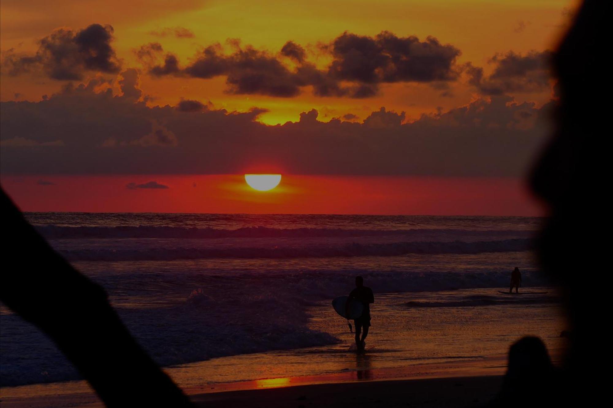 Cabinas Playa Surf Hostel Playa Santa Teresa  エクステリア 写真