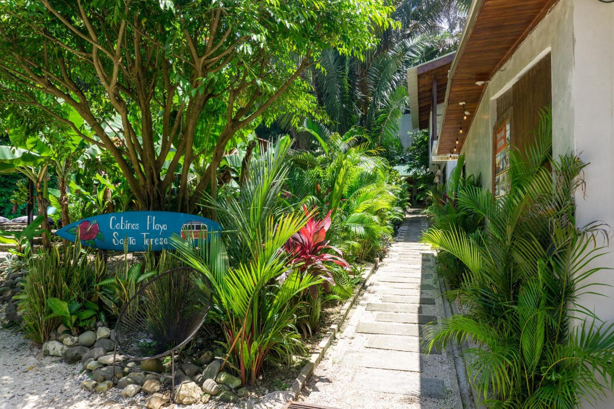 Cabinas Playa Surf Hostel Playa Santa Teresa  エクステリア 写真