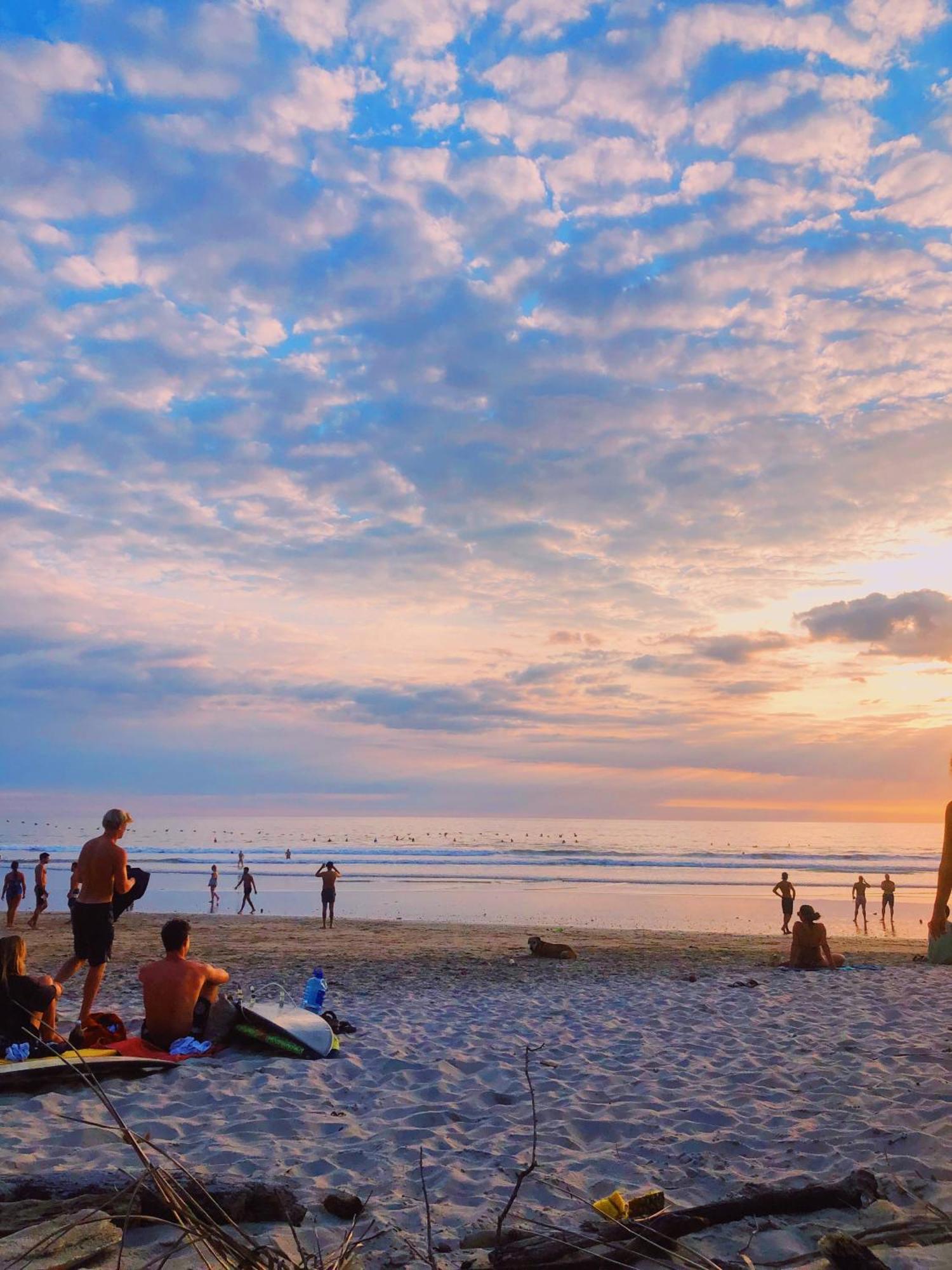 Cabinas Playa Surf Hostel Playa Santa Teresa  エクステリア 写真