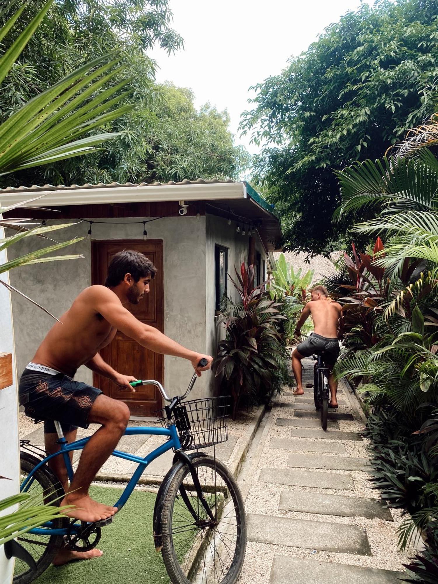 Cabinas Playa Surf Hostel Playa Santa Teresa  エクステリア 写真