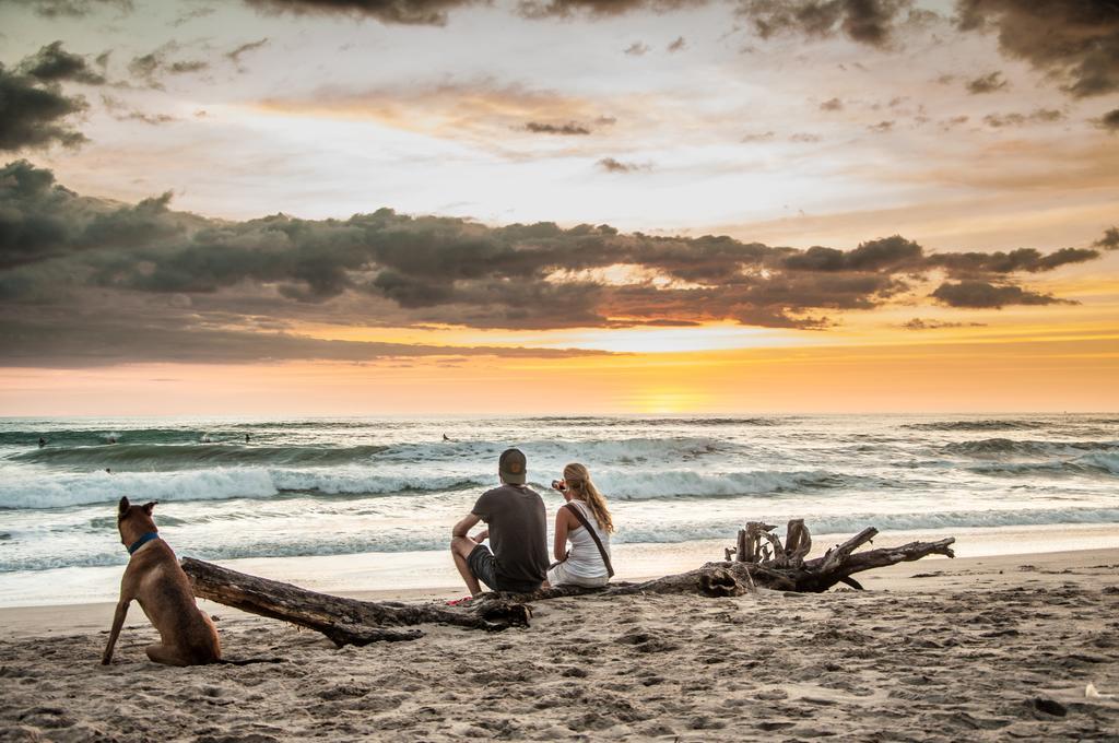 Cabinas Playa Surf Hostel Playa Santa Teresa  エクステリア 写真