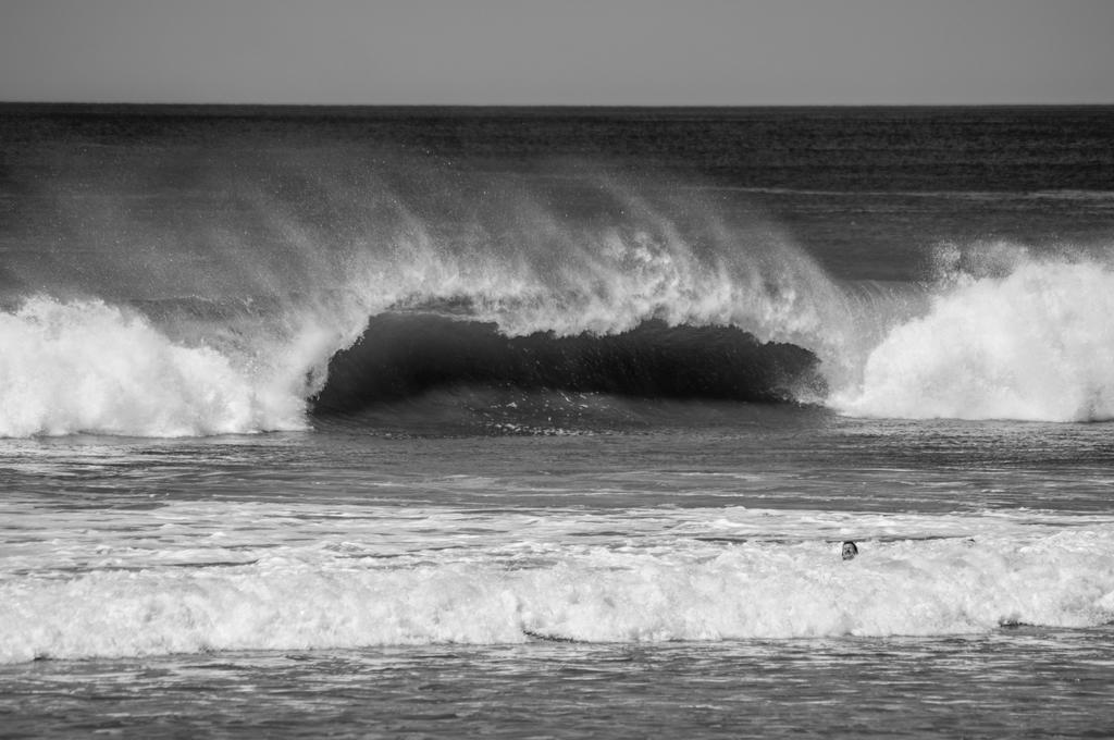 Cabinas Playa Surf Hostel Playa Santa Teresa  エクステリア 写真