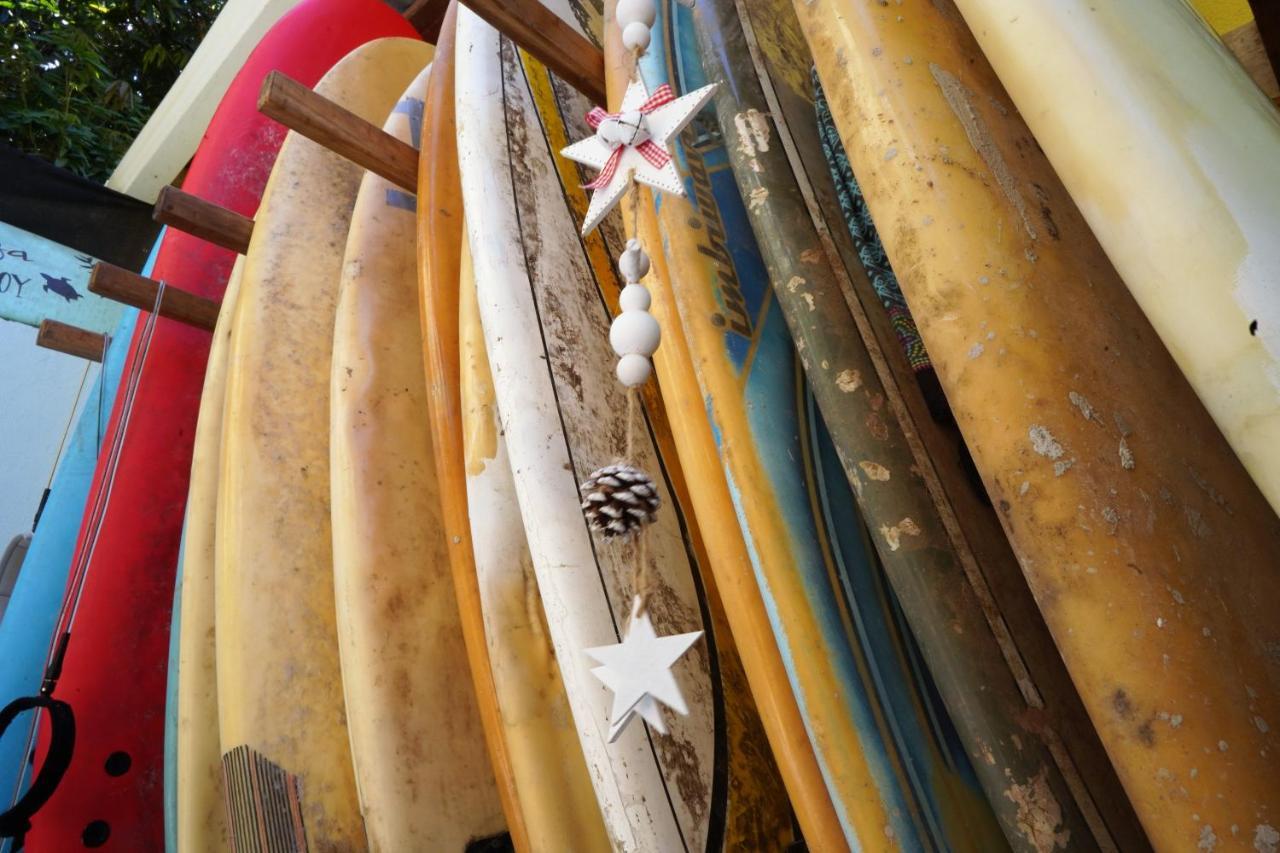 Cabinas Playa Surf Hostel Playa Santa Teresa  エクステリア 写真